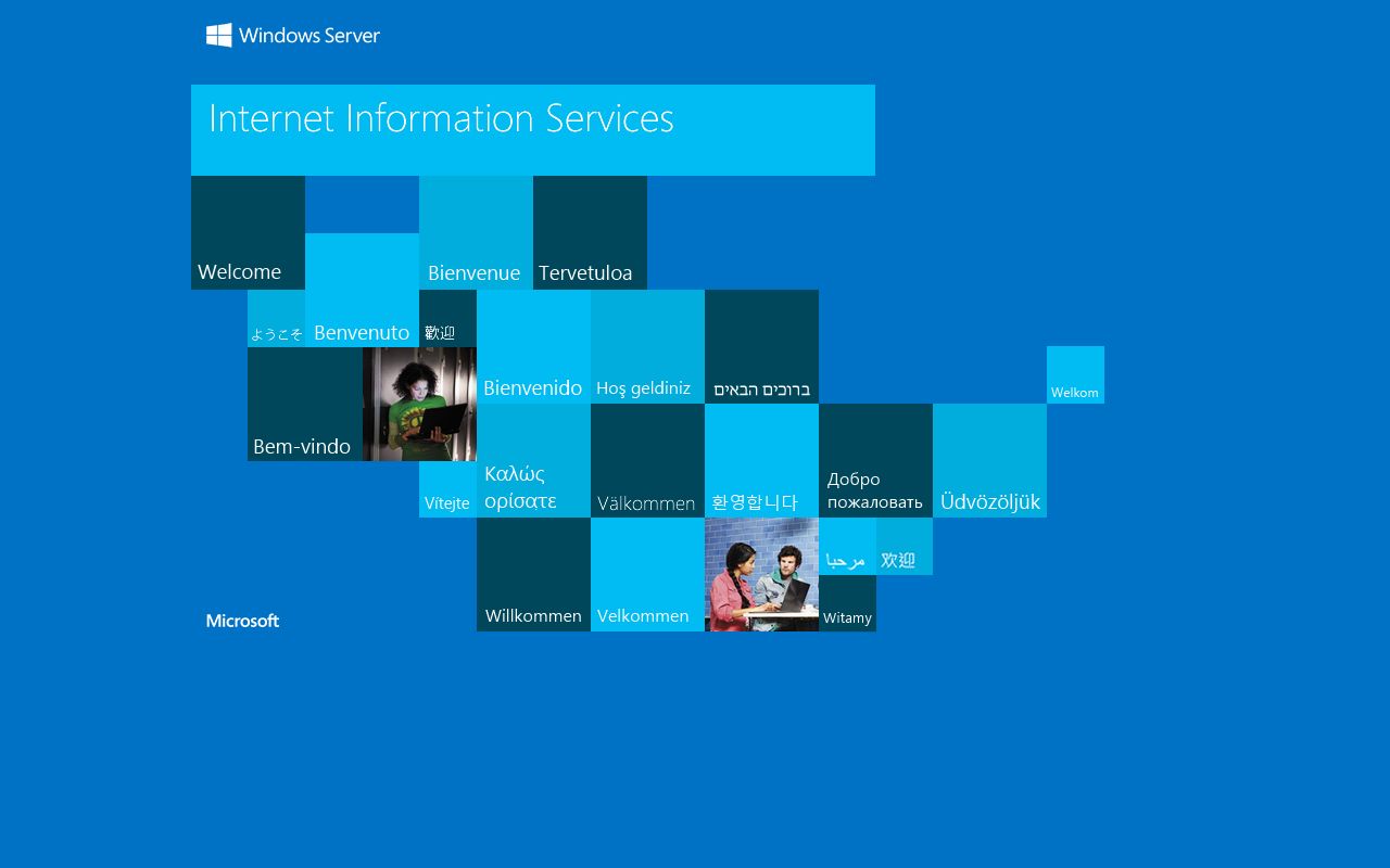 Wayne County inmate inquiry search portal for booking reports